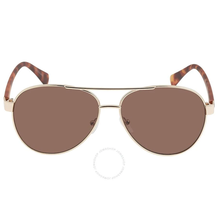 Calvin Klein Brown Pilot Men's Sunglasses CK19316S 717 60 1