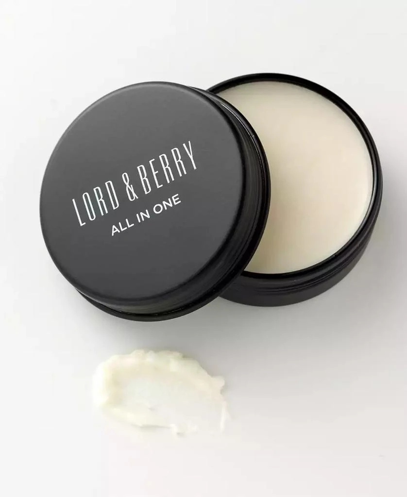 Lord & Berry All in One Ointment 4