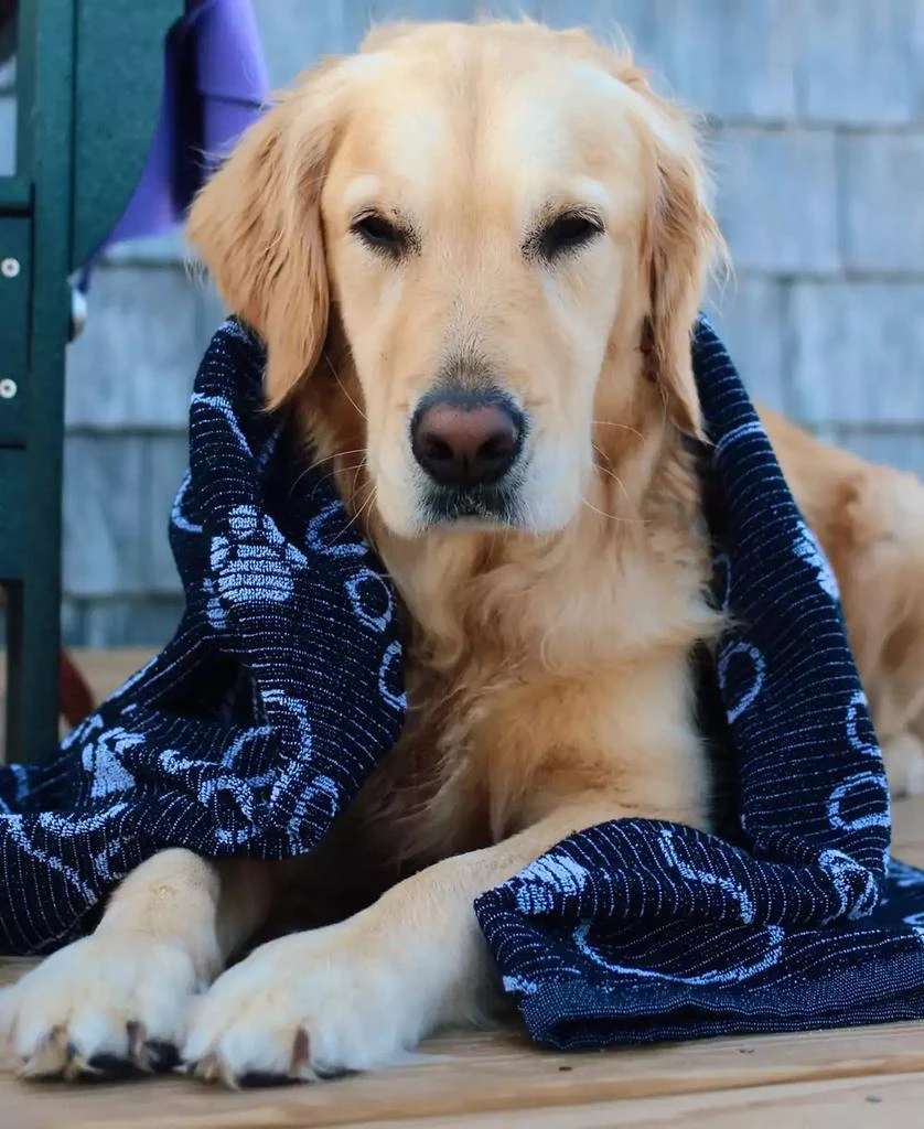 Delilah Home Drytek High Performance Dog Bath Towel 30" X 54" 2