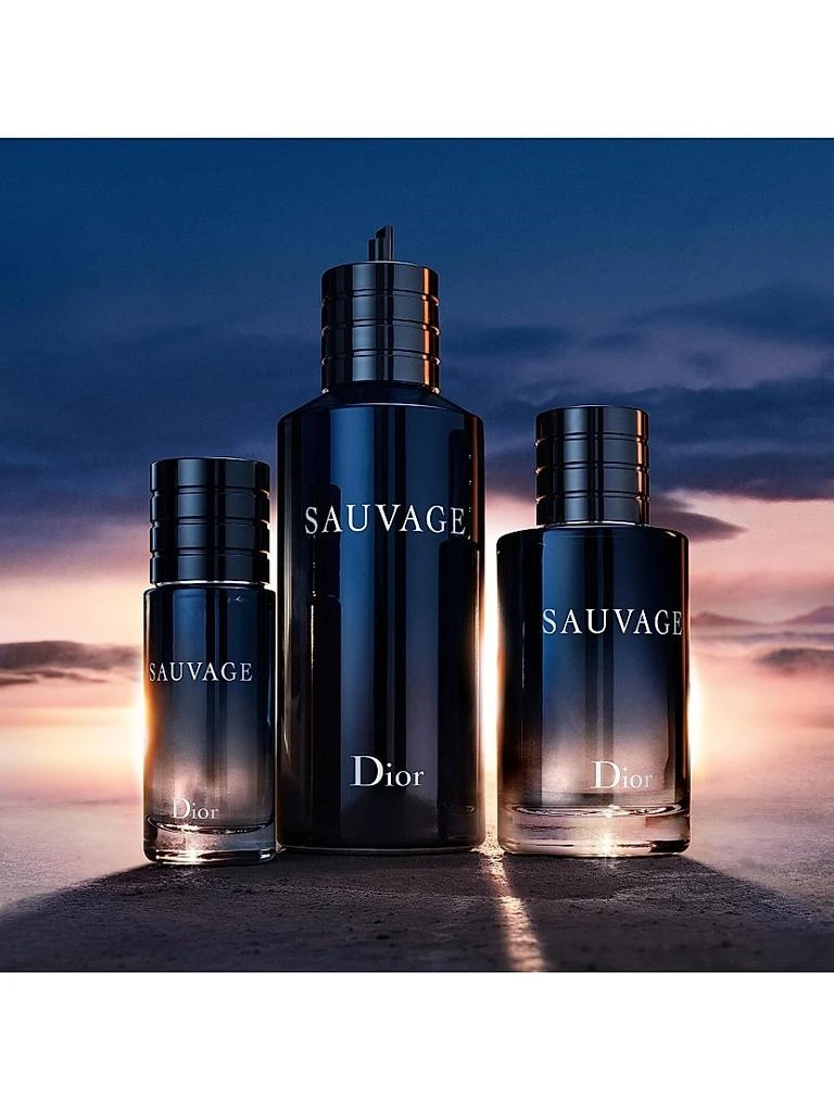 Dior Sauvage Eau De Toilette 8