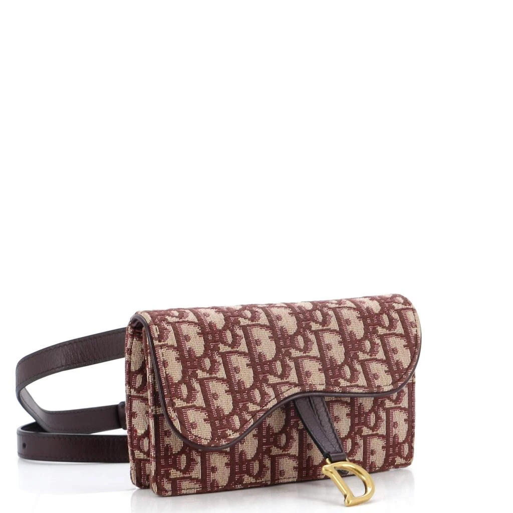 Dior Saddle Rectangular Belt Bag Oblique Canvas 2