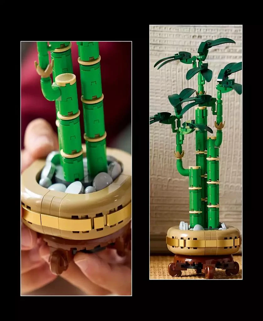 LEGO Botanicals Lucky Bamboo Building Set 10344, 325 Pieces 3