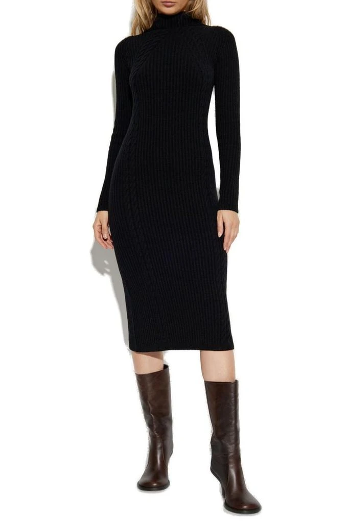 Max Mara Max Mara Zelanda Turtleneck Long-Sleeve Knit Dress 2