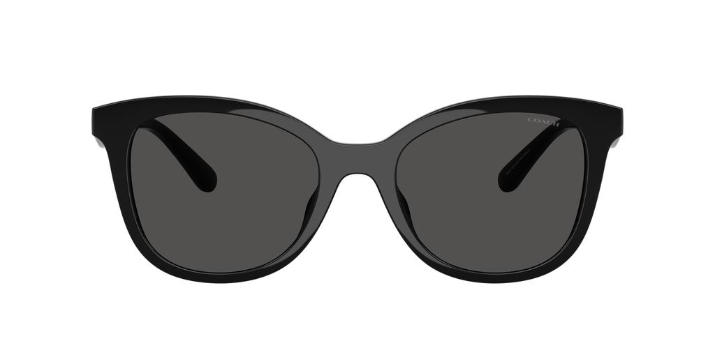 Coach Coach Woman Sunglass HC8419U CAD25