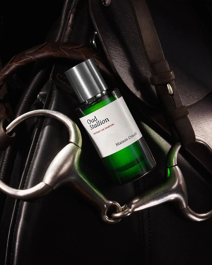 Maison Crivelli Oud Stallion Extrait, 50 mL 6