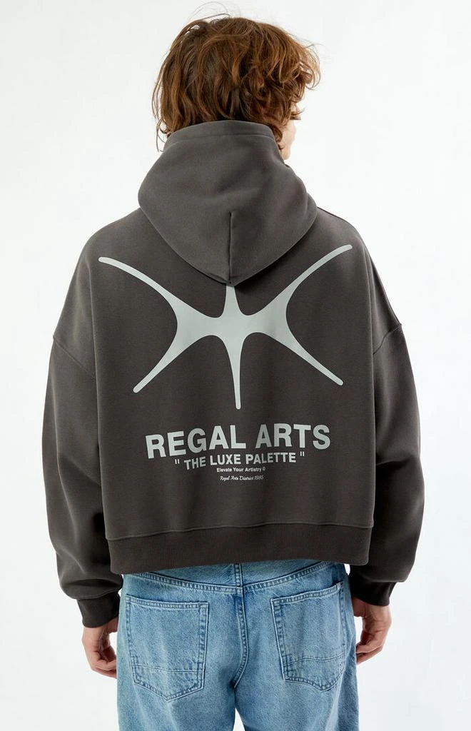 PacSun Regal Arts Cropped Hoodie 4