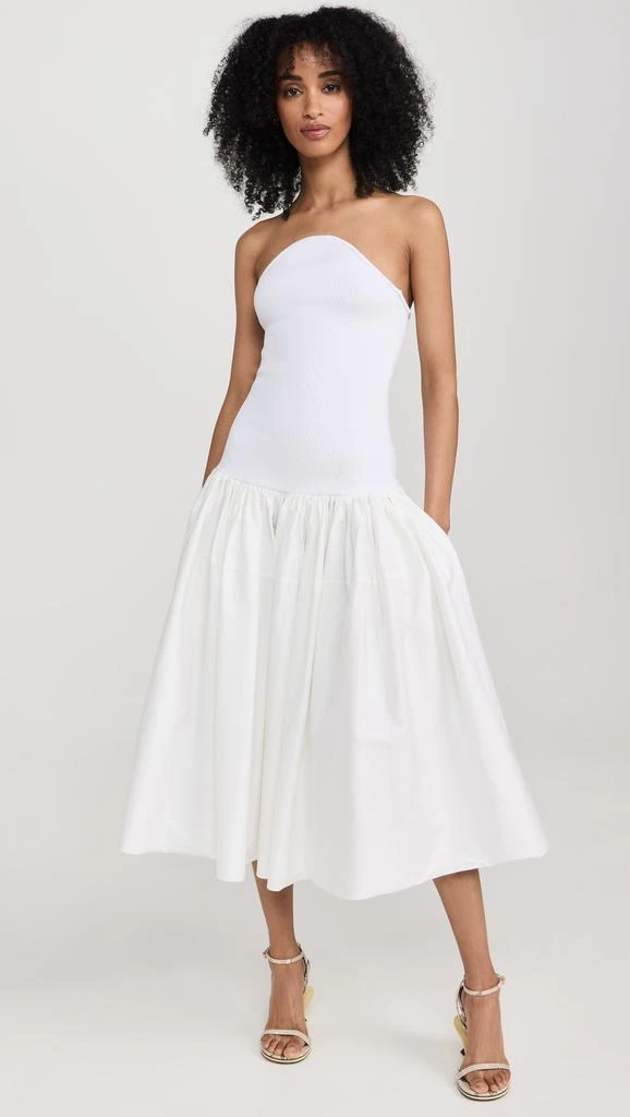 Alexis Kamali Dress 4