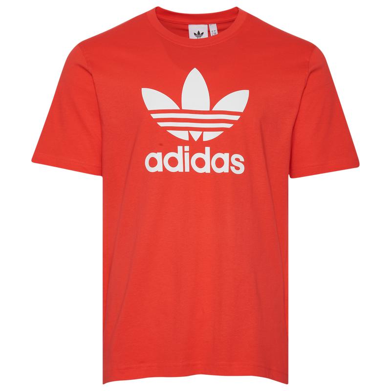 Adidas trefoil t shirt xxl online