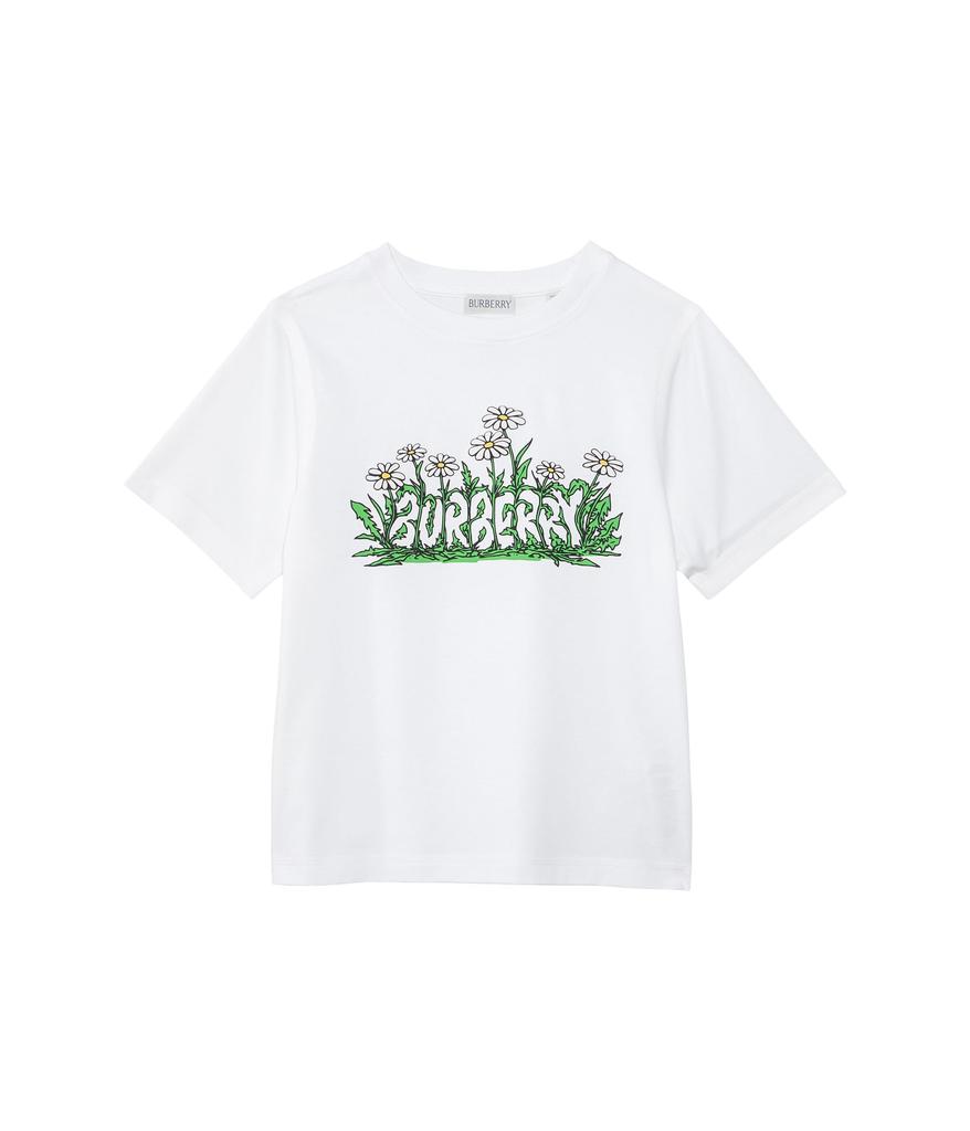 Cedar Daisy T-Shirt (Toddler/Little Kid/Big Kid) – On Sale Now