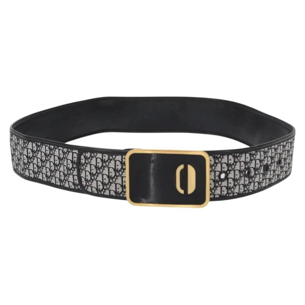 Dior Vintage Belt Canvas Canvas Belts Accessory (Pre-Owned)