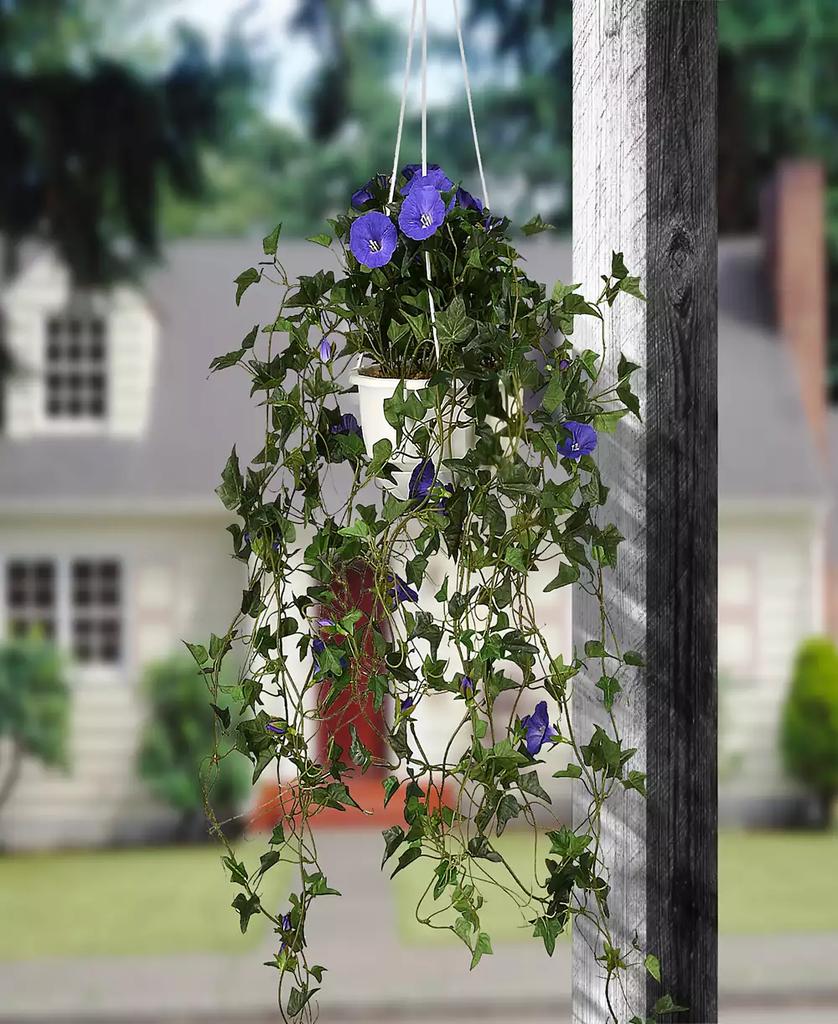 National Tree Company 44 Hanging Morning Glory Plant