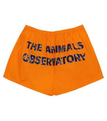 The Animals Observatory Puppy swim trunks 4