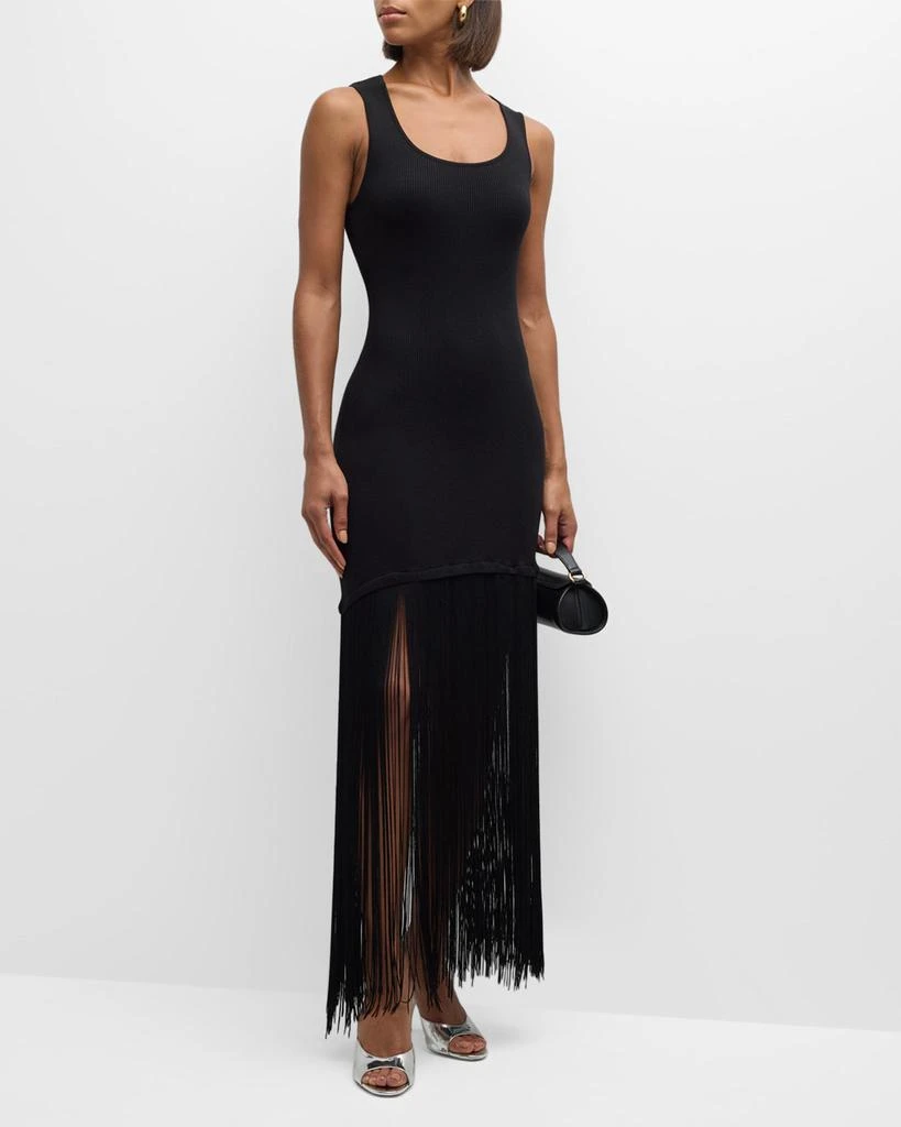 Le Superbe Sleeveless Fringe Tank Dress 3