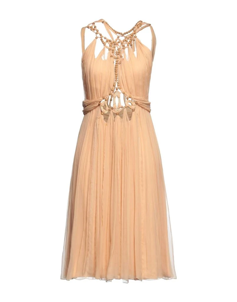 Alberta Ferretti Midi dress 1