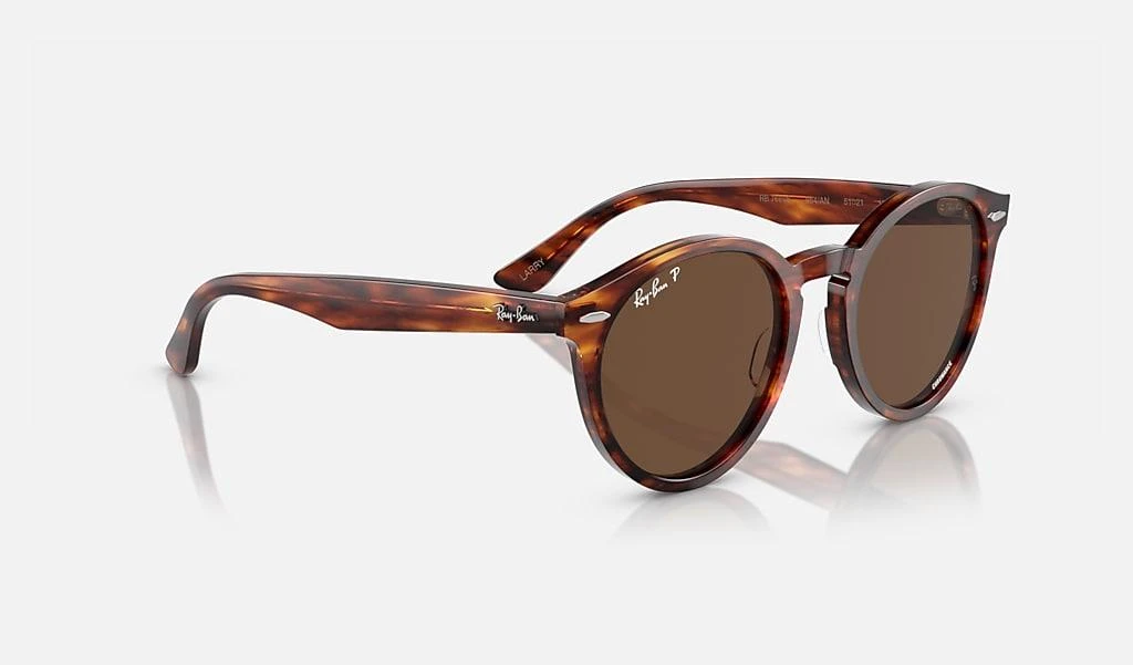 Ray-Ban LARRY 6