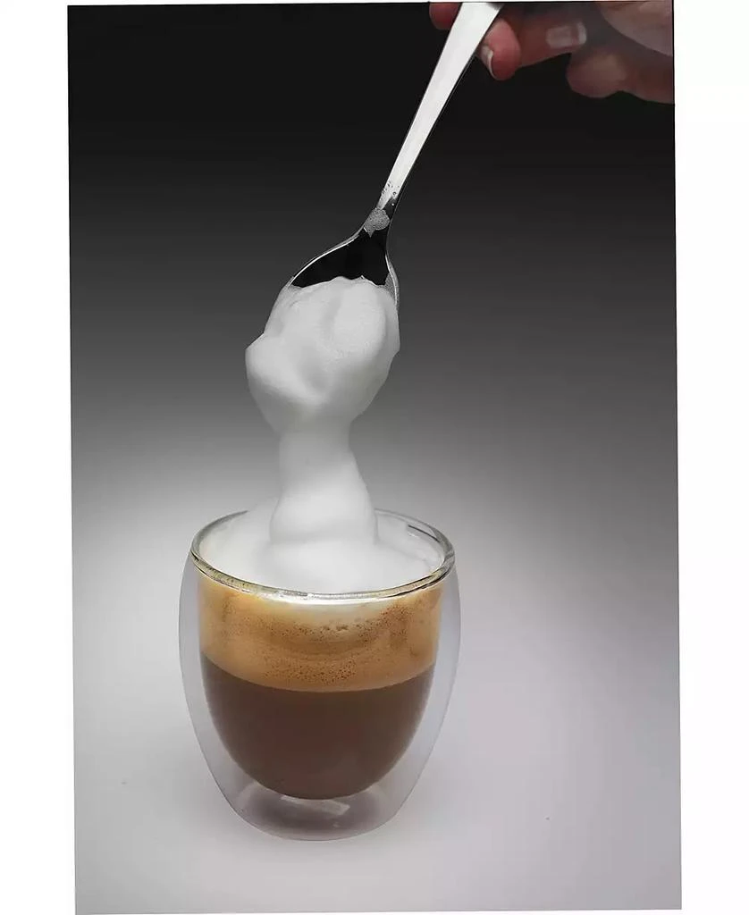 Capresso Froth Max Milk Frother 2