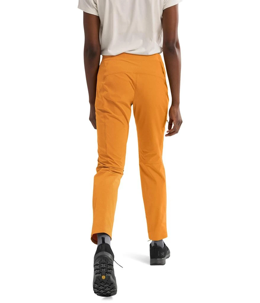 Arc'teryx Gamma Lightweight Pants 2