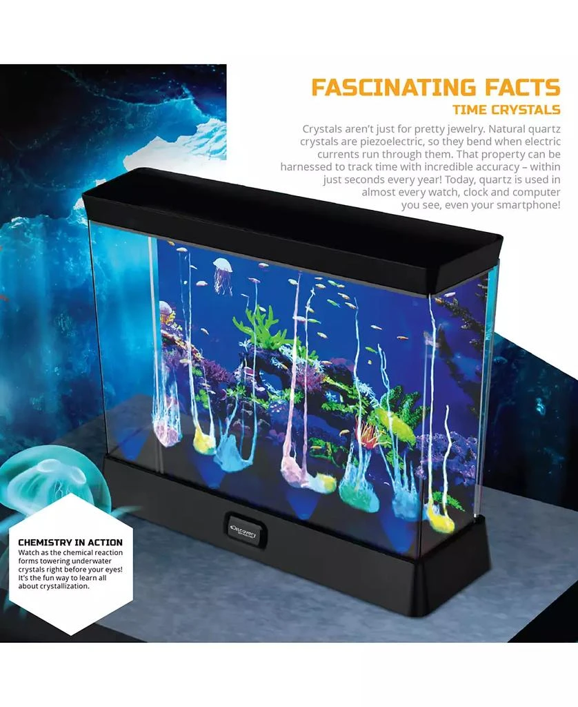 Discovery #MINDBLOWN Crystal Aquarium Tank DIY Underwater Garden 5