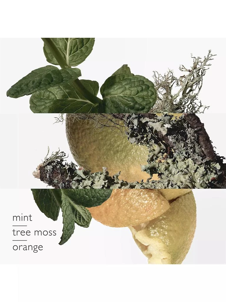 Hermes Eau d'Orange Verte Eau de Cologne 3
