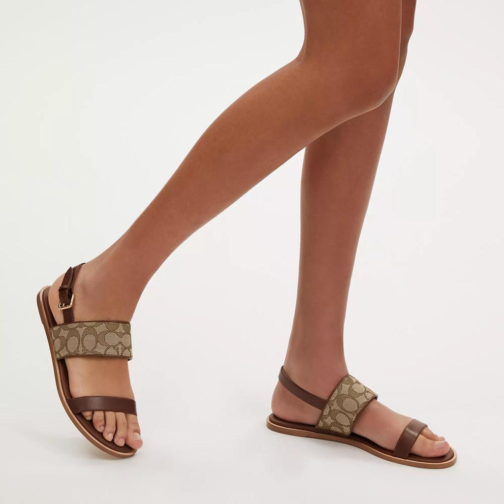 Coach Outlet Coach Outlet Harley Sandal In Signature Jacquard