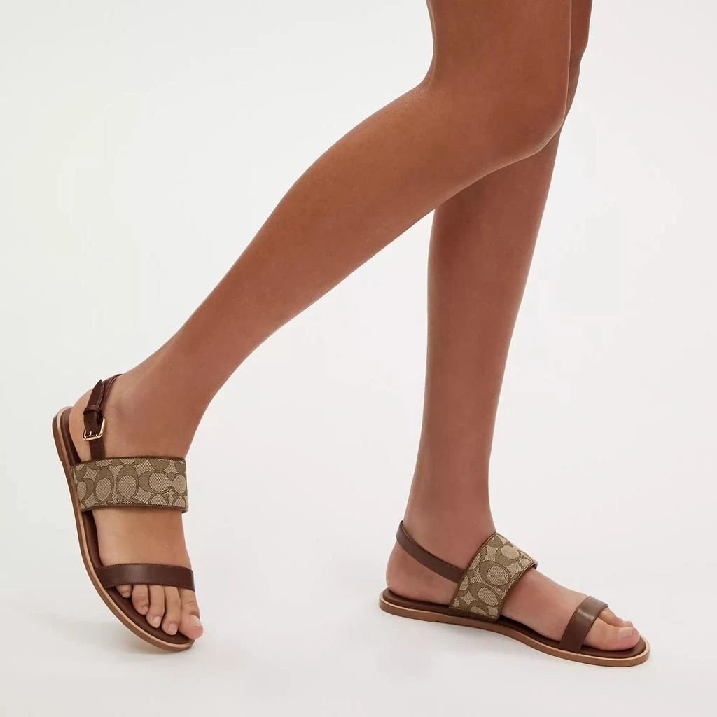 Coach Outlet Coach Outlet Harley Sandal In Signature Jacquard 2