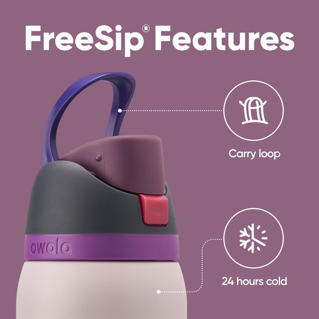 Owala Owala FreeSip Insulated Stainless Steel Water Bottle with Straw for Sports, Travel, and School BPA-Free Sports Water Bottle, 32 oz, Dreamy Field