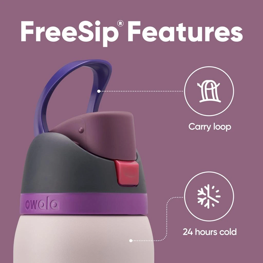 Owala Owala FreeSip Insulated Stainless Steel Water Bottle with Straw for Sports, Travel, and School BPA-Free Sports Water Bottle, 32 oz, Dreamy Field 2