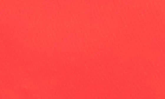 Roxy Beach Classics Hipster Bikini Bottoms 5