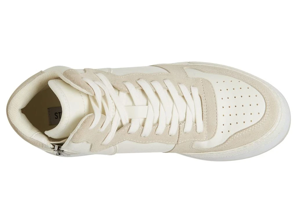 Steve Madden Brodiee  Sneaker 2