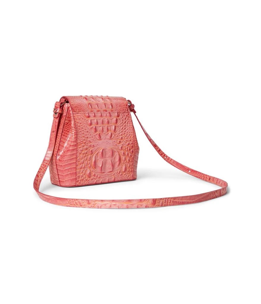 Brahmin Margo 2