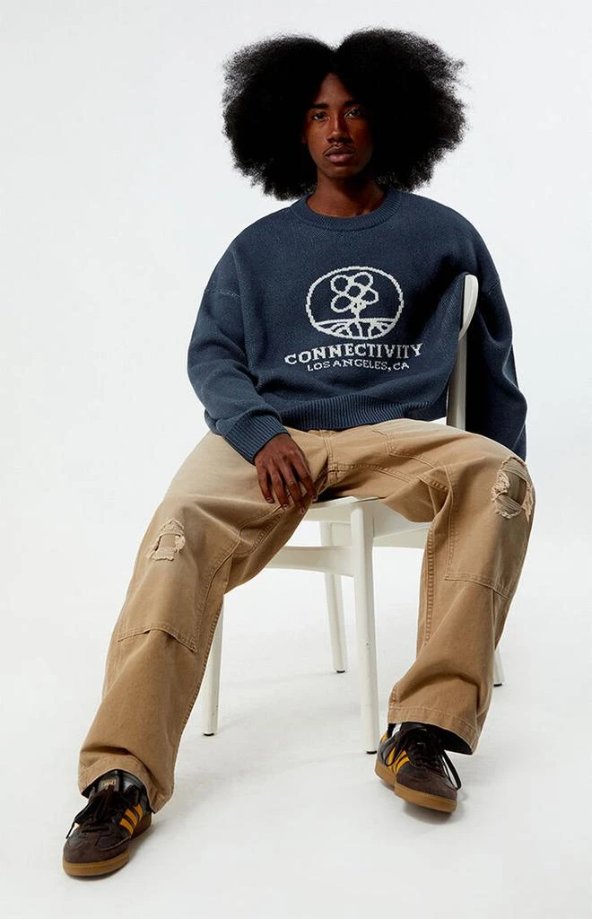PacSun Connectivity Cropped Sweater 4