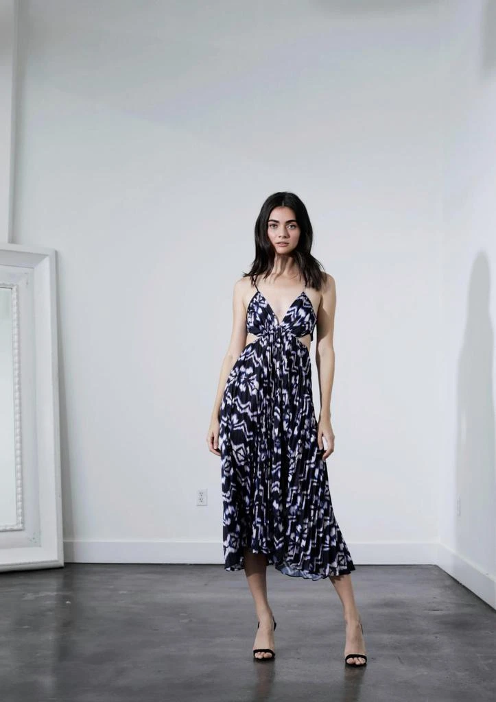 Karina Grimaldi Karina Grimaldi - Serena Print Dress 3