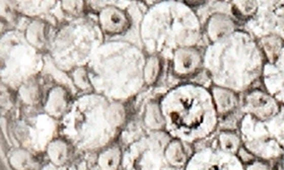 Rivka Friedman Simulated Diamond Micro Pavé Round Post Earrings 2