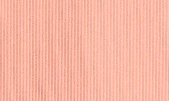 Petit Lem Rib Long Sleeve Two-Piece Rashguard Swimsuit 3