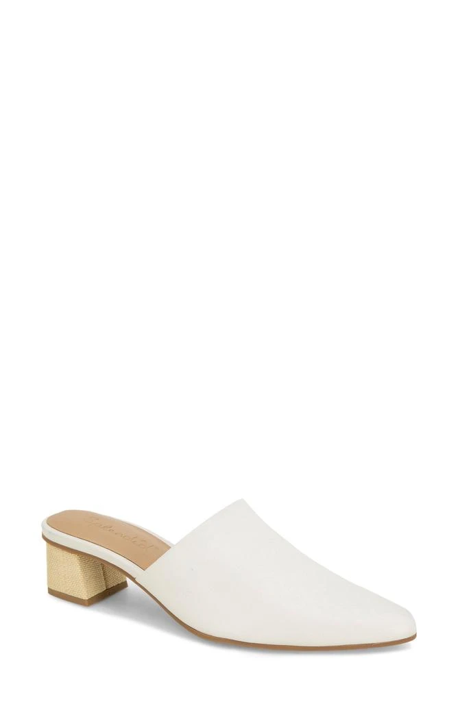 Splendid Lorelei Pointed Toe Mule 1