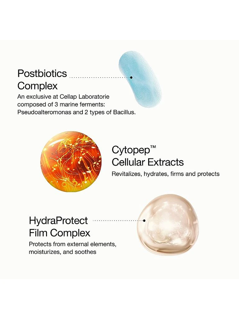 Cellcosmet Cellcosmet Concentrated Revitalizing Cellular Cream 5