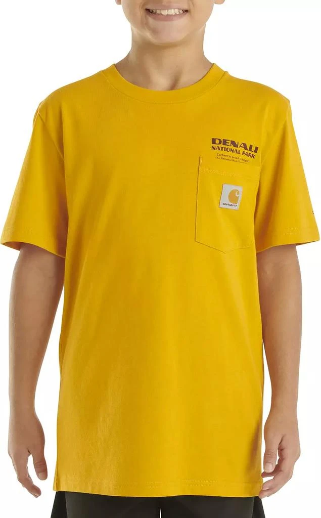 Carhartt Carhartt Boys' Denali National Park T-Shirt 4
