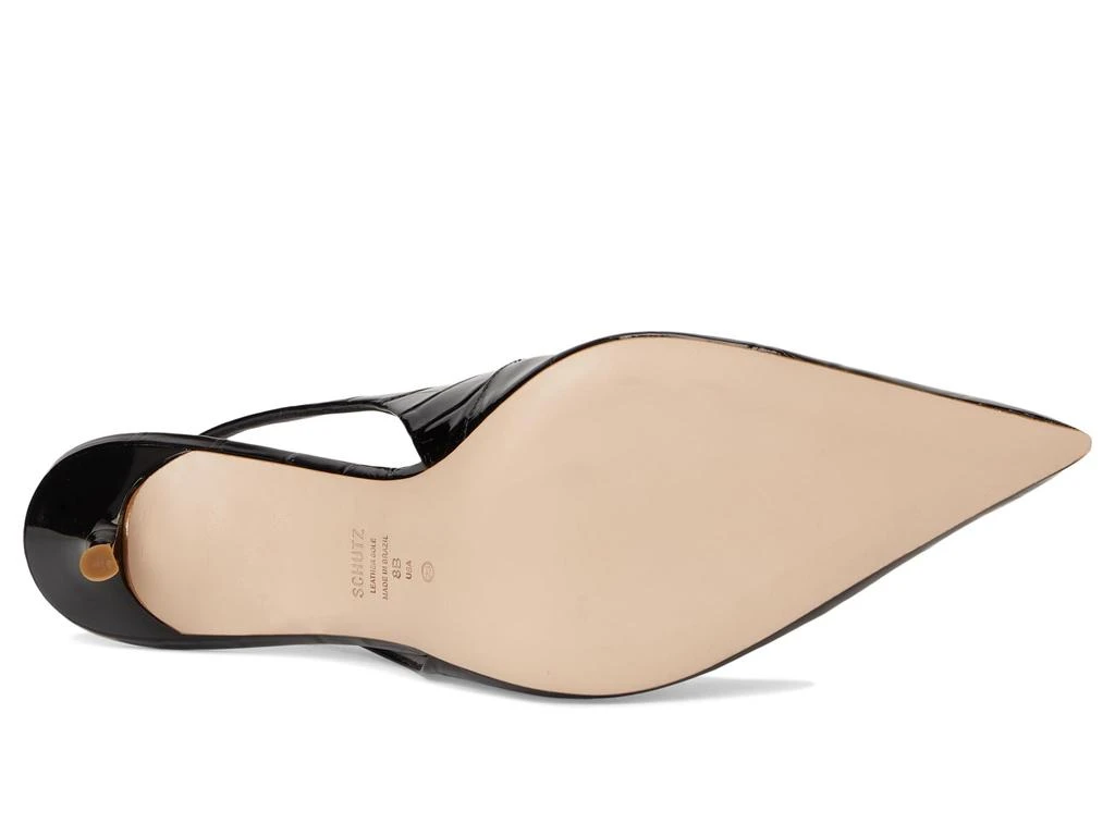 Schutz Paola 3