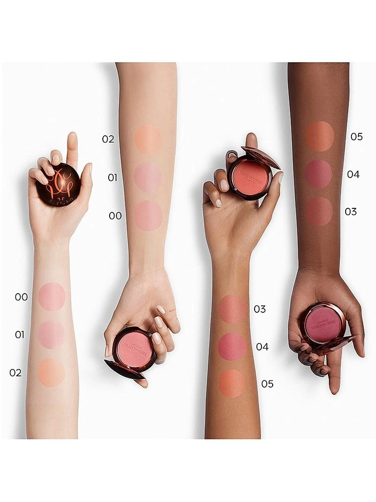 Guerlain Terracotta Powder Blush 2