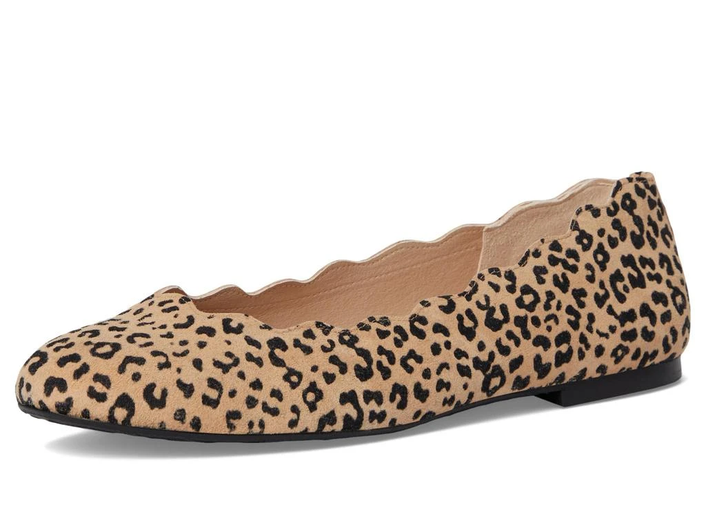 French Sole Jigsaw 7