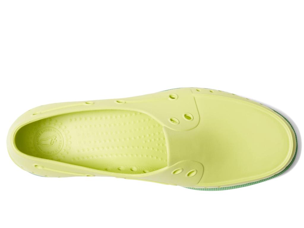 Native Shoes Howard Sugarlite