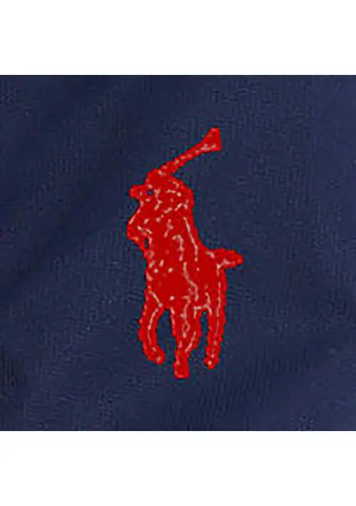 Ralph Lauren Boys 2-7 P-Layer 1 Hooded Jacket 4