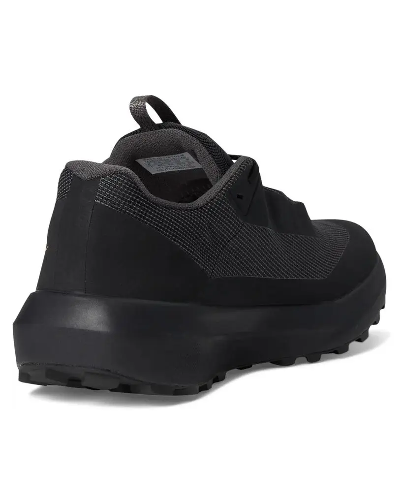 Arc'teryx Women's Arc'teryx Norvan LD 4 GTX 5
