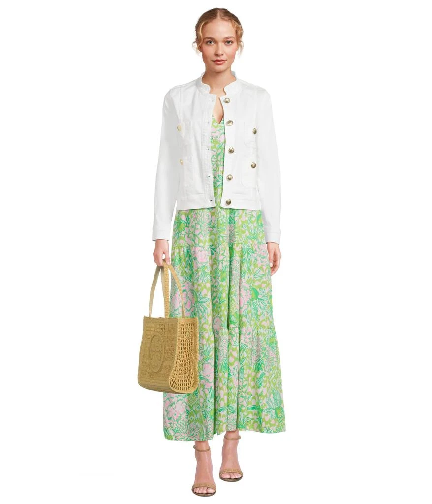 chinese dress ladies Lilly Pulitzer, Womens, Sydnee Maxi Dress, Fauna Green Lime Feeling Good,  X-Small at Amazon Women's Clothing store main image 1