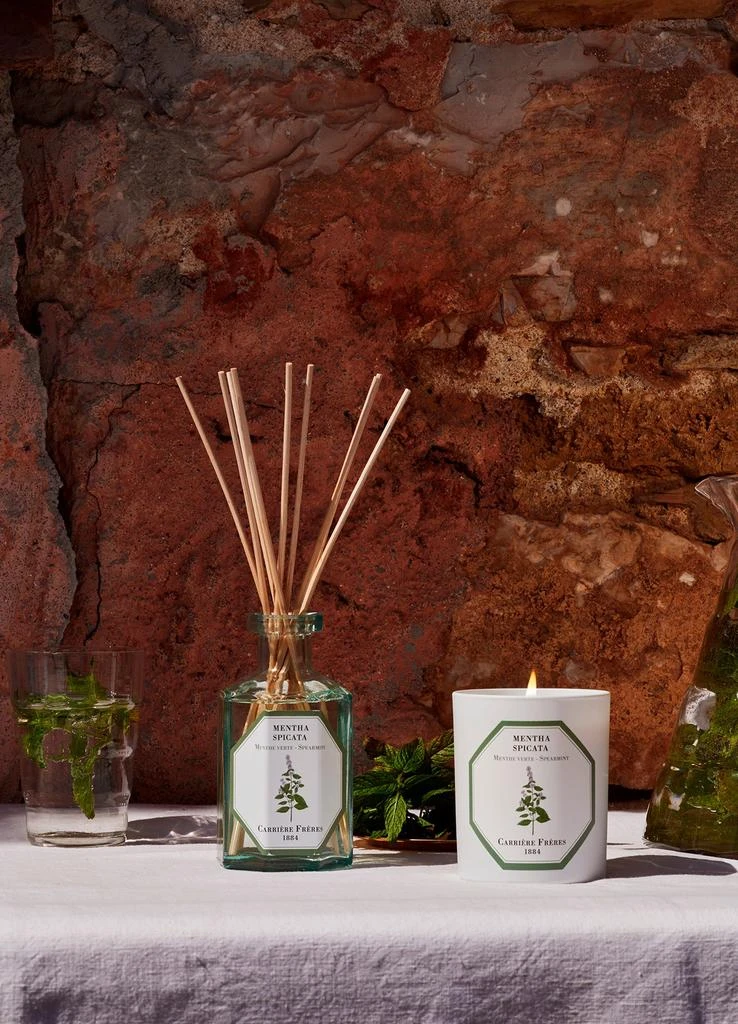 Carriere Freres Fragrance diffuser Spearmint - Mentha Spicata 200 ml 4
