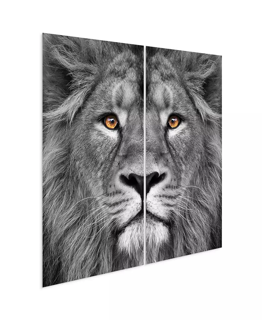 Empire Art Direct King Of The Jungle Ab Frameless Free Floating Tempered Glass Panel Graphic Wall Art, 72" x 36" x 0.2" Each 2