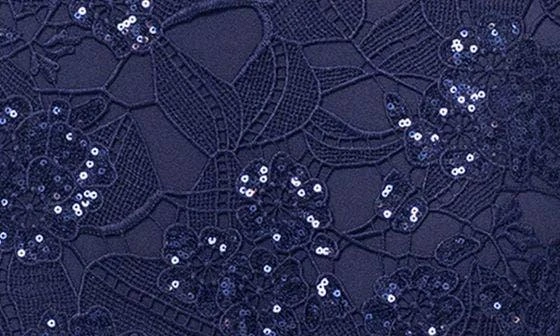 Xscape Evenings Sequin Lace Overlay Gown 6