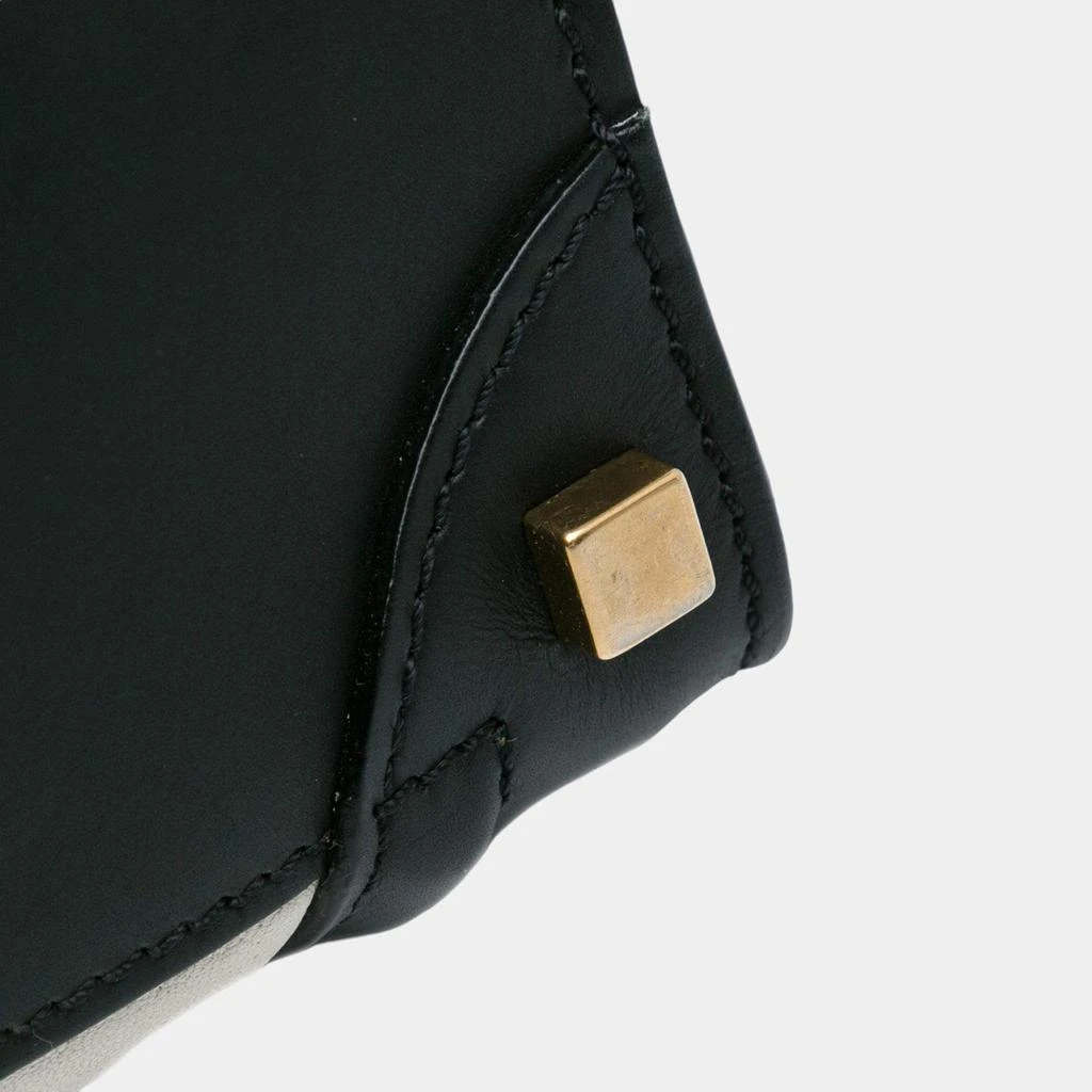 Celine Celine Multicolor Micro Tricolor Luggage Tote 14