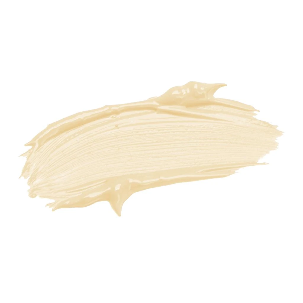 Jane Iredale jane iredale Active Light Under-Eye Concealer 2