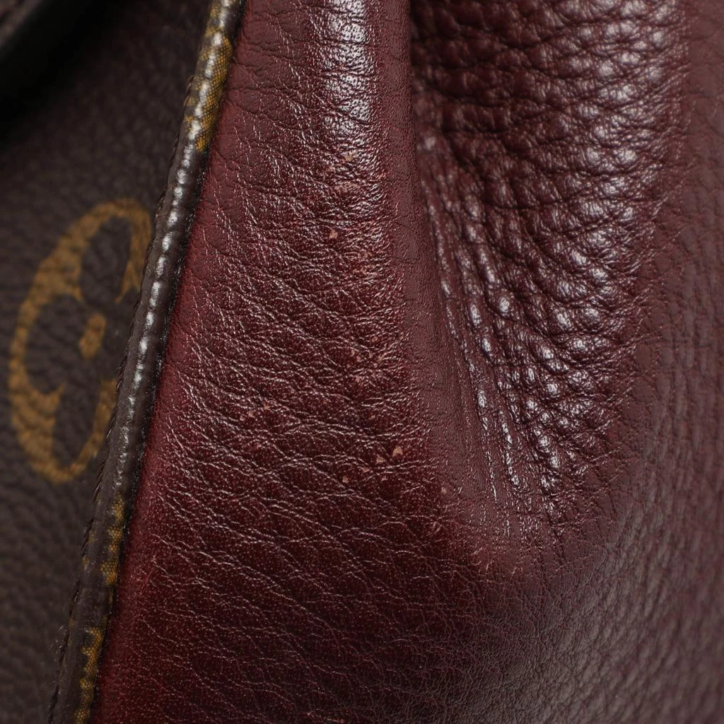 Louis Vuitton Louis Vuitton Bordeaux Monogram Canvas Eden MM Bag 10
